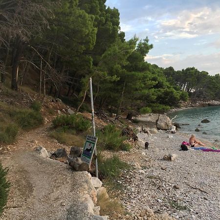 Blue Shell Trogir Apartment Rom bilde